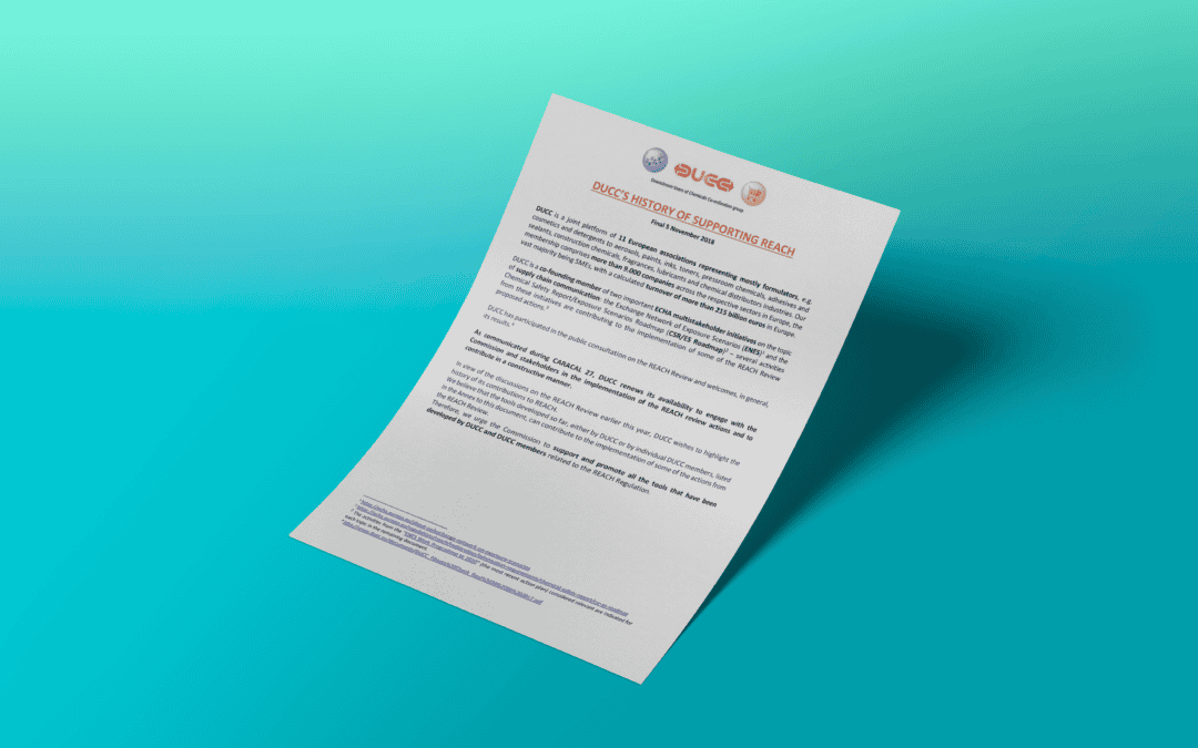 DUCC’s history of contribution to the REACH implementation – DUCC factsheet
