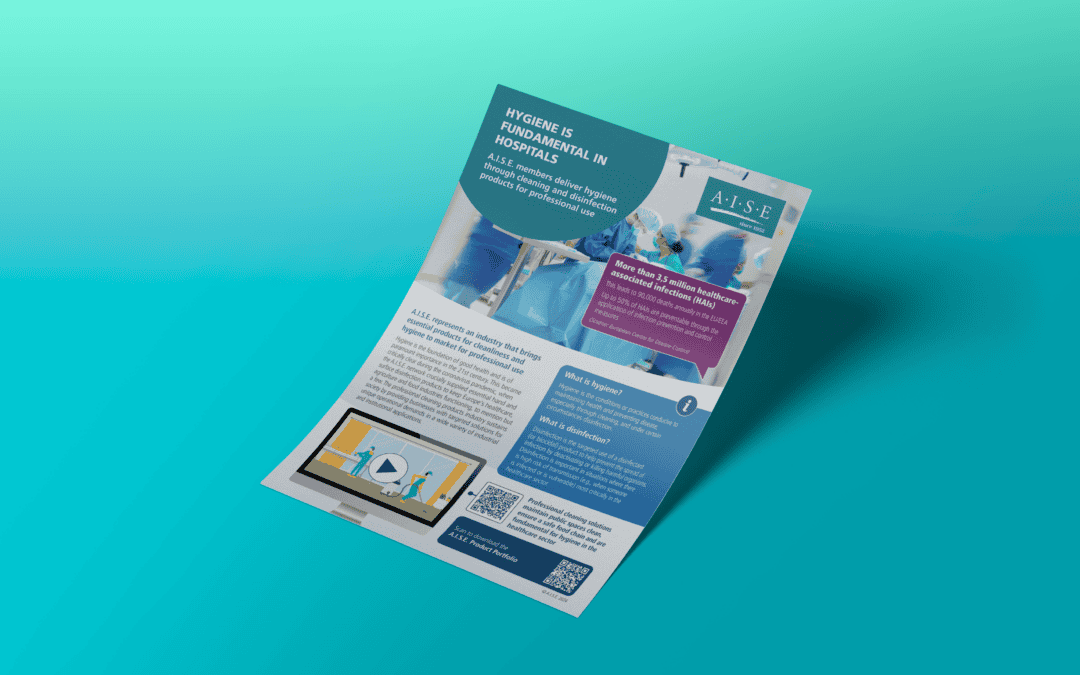 A.I.S.E. Hygiene Factsheet (November 2024)