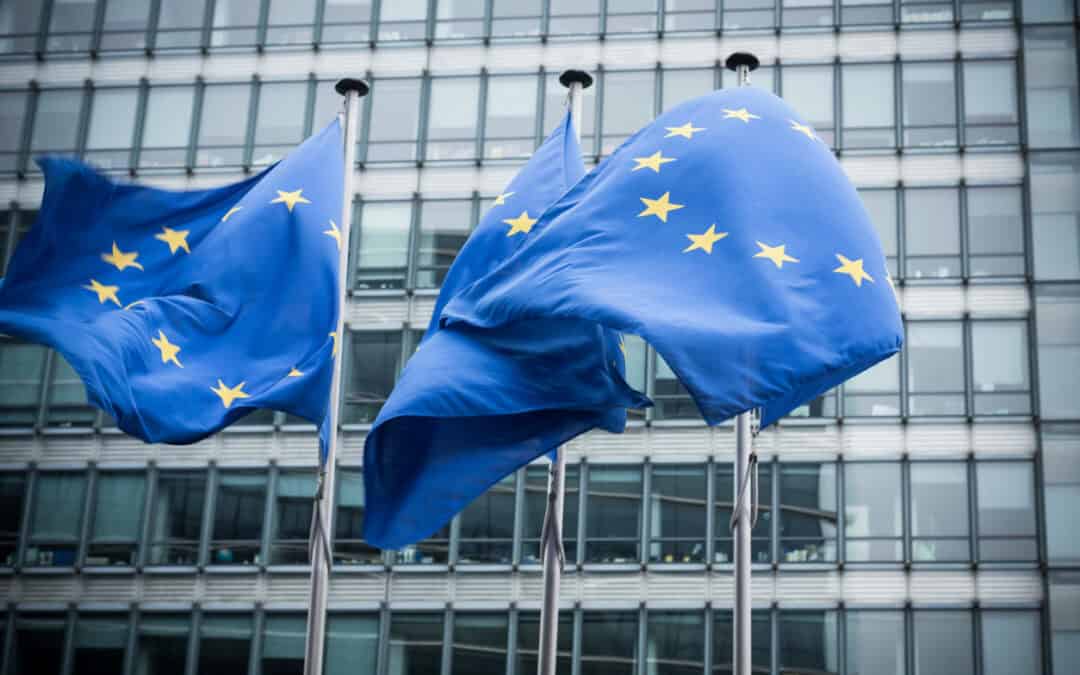 Businesses need good legislation in the EU: The current green claims directive misses the mark