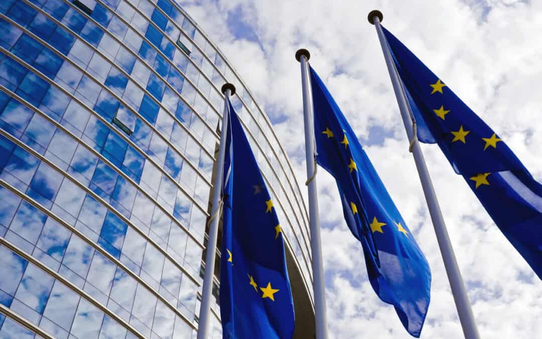 A.I.S.E. joins industry call for a Transitional Regime for the implementation of Article 24 of the ESPR