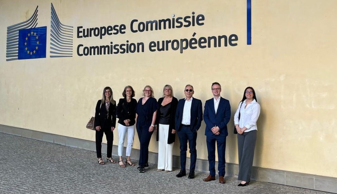 A.I.S.E. members attend High-Level Implementation Dialogue on biocides