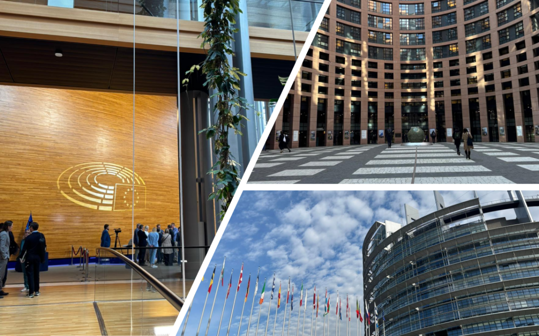 A.I.S.E. delegation engages with new MEPs in Strasbourg