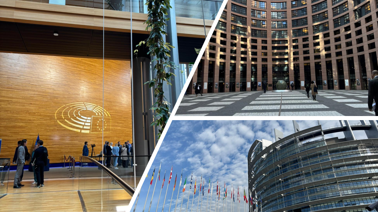 A.I.S.E. delegation engages with new MEPs in Strasbourg