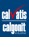 Calvatis GmbH
