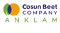 Cosun Beet Company GmbH & Co. KG