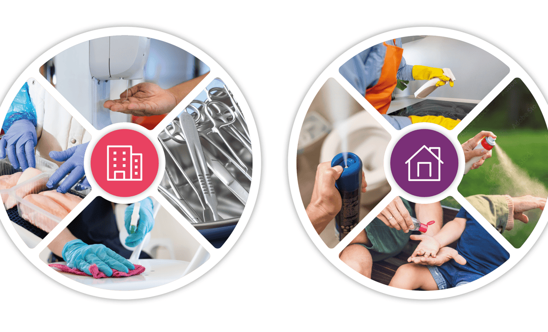 Washing hands and cleaning dishes with detergents, emphasizing hygiene and household care.